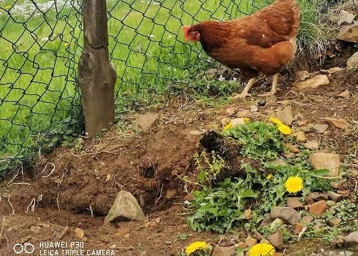 Small Basement Private Entrance View *