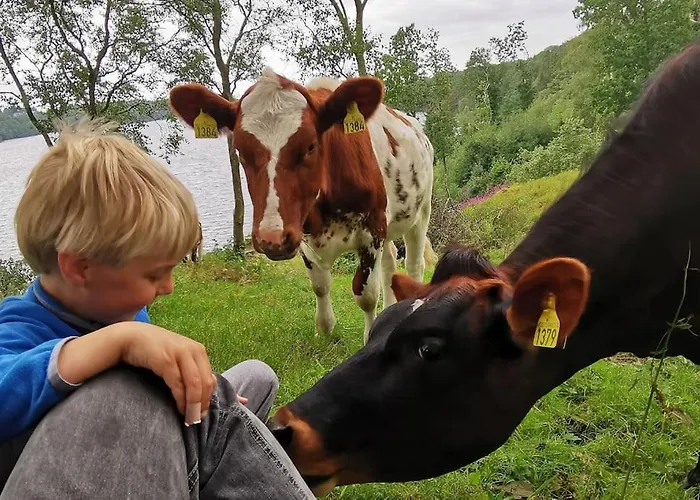 Small Basement Private Entrance View *